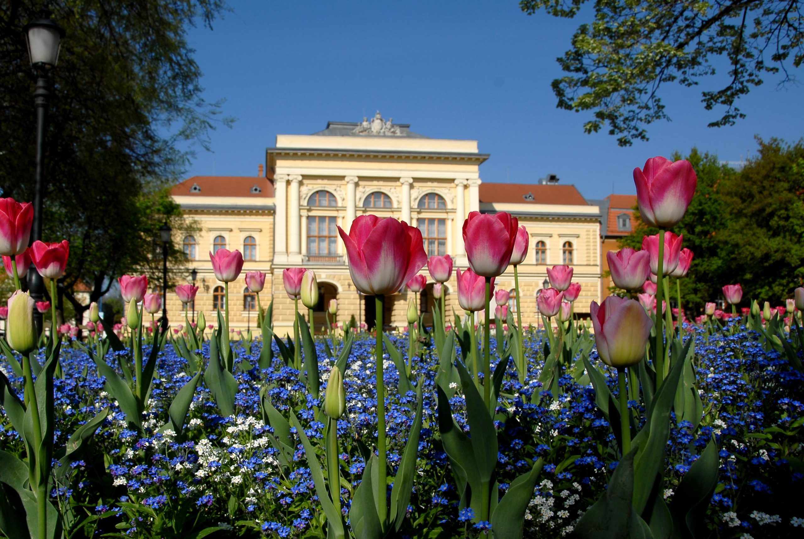 Virágszínvonalasabb Szentesért 2026 versenyre lakossági felhívás